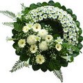 Ankara Sincan Elvankent Çiçekçi firma ürünümüz cenazeye çiçek çelenk modeli Ankara çiçek gönder firması şahane ürünümüz 