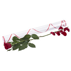 Ankara Sincan çiçekçi satışı sitemizden harika görüntülü 1 adet kırmızı gül