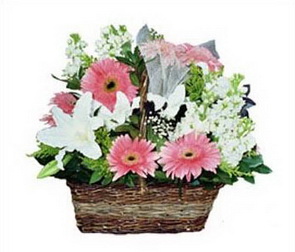 Ankara Sincan çiçek gönder firmamızdan görsel ürün karışık mevsim çiçek sepeti Ankara çiçek gönder firması şahane ürünümüz 