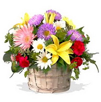 Ankara Sincan çiçek siparişi sitemizin görsel ürünü kır çiçeklerinden mevsim sepeti Ankara çiçek gönder firması şahane ürünümüz 
