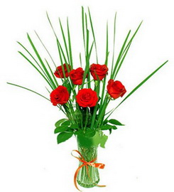 6 adet kırmızı güllerden vazo çiçeği 
