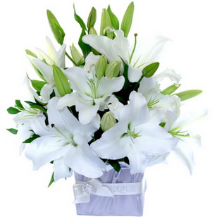Ankara Sincan çiçek yolla 4 dal cazablanca vazo çiçeği 
