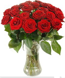 Ankara Sincan çiçek mağazası , çiçekçi adresleri Vazoda 15 adet kırmızı gül tanzimi